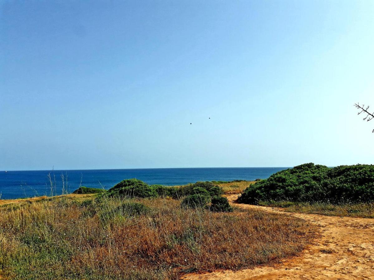 Casa Canavial Praia Da Luz Bagian luar foto