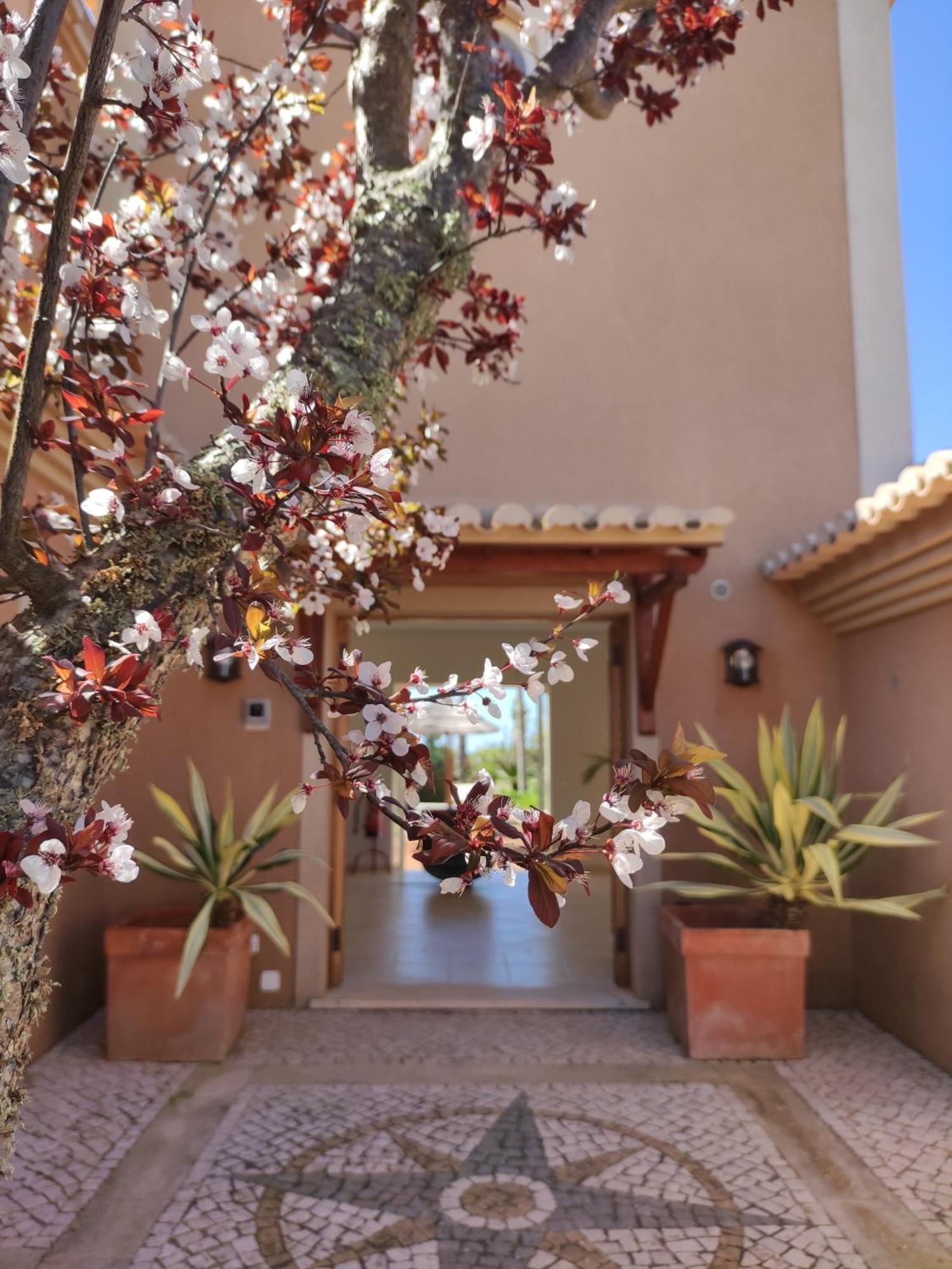 Casa Canavial Praia Da Luz Bagian luar foto
